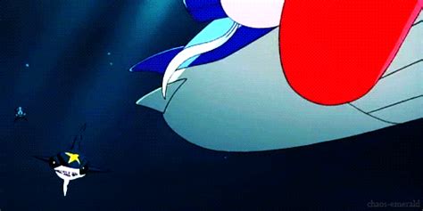 sharpedo evolution|mega sharpedo smogon.